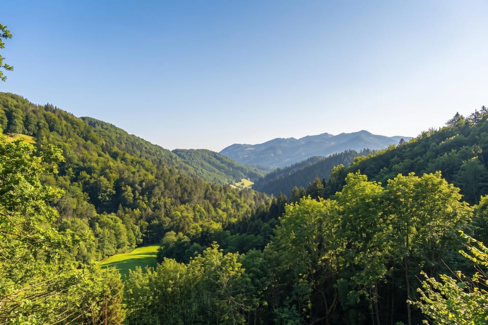 Family House, 1 Bedroom, Balcony, Mountainside (Pool & Wellness Chalet Sunshine) | Miscellaneous