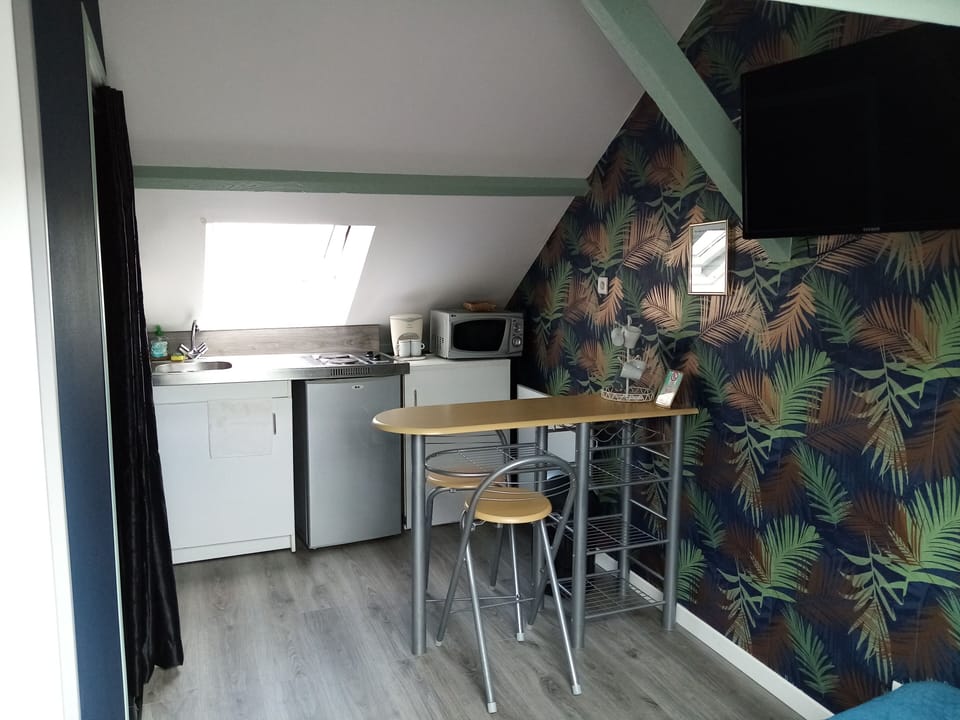 Classic Studio | Private kitchen | Fridge, microwave, stovetop, toaster