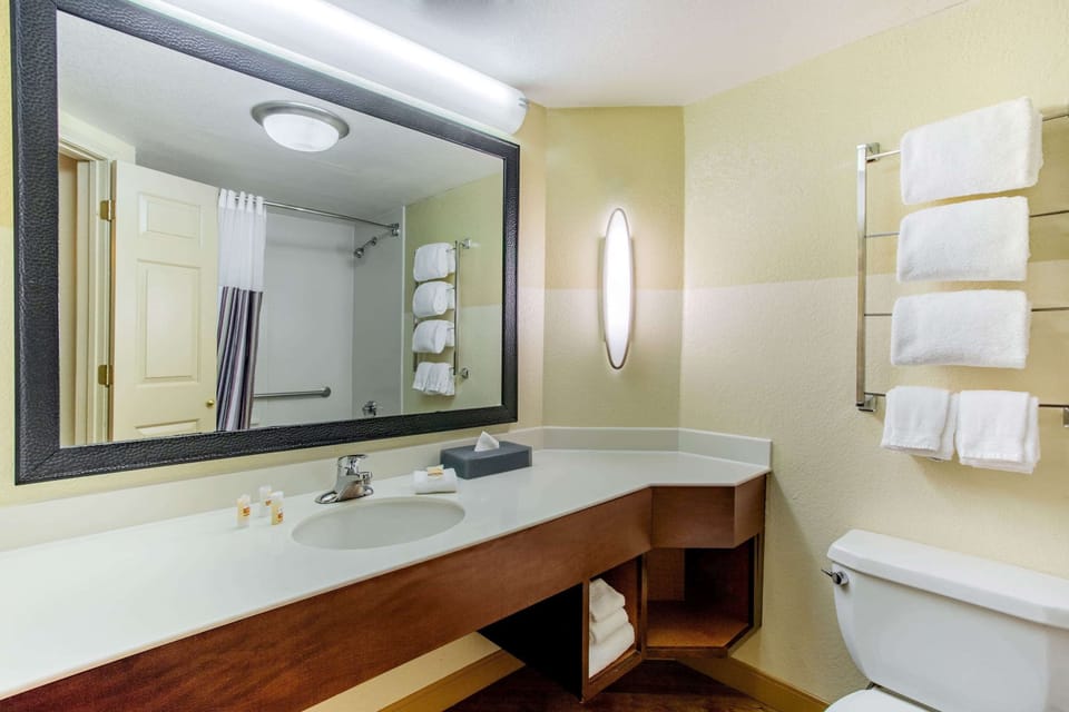 Combined shower/tub, free toiletries, hair dryer, towels