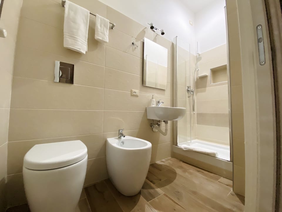 Hair dryer, bidet, towels, soap