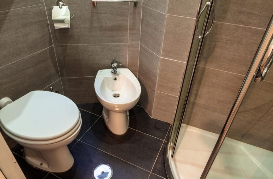 Classic Double Room | Bathroom | Shower, rainfall showerhead, bidet, towels