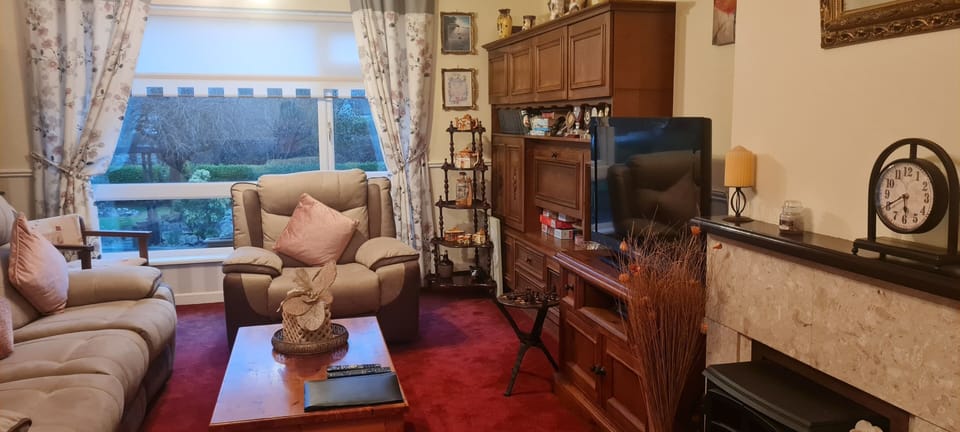 Flat-screen TV