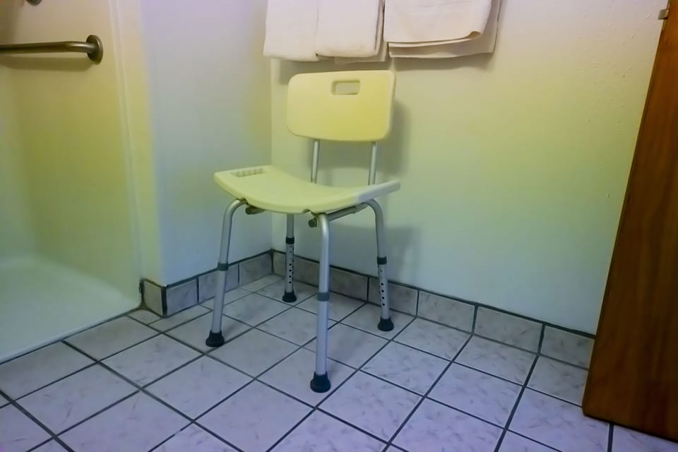 Room, 1 Queen Bed, Accessible | Bathroom | Free toiletries, hair dryer, towels, soap