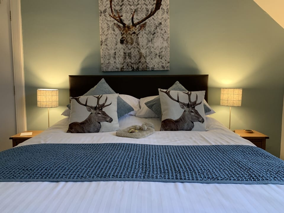 Comfort Double Room, Ensuite (Room 3) | Individually decorated, blackout drapes, iron/ironing board, free WiFi