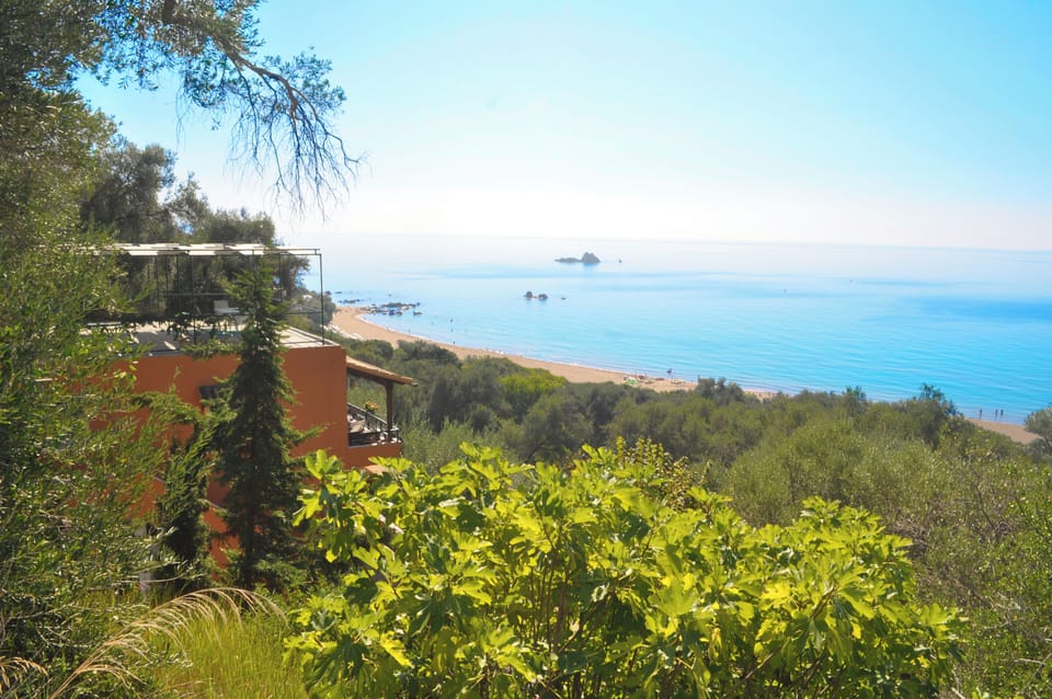 Apartment, 1 Bedroom, Smoking, Balcony | View from property