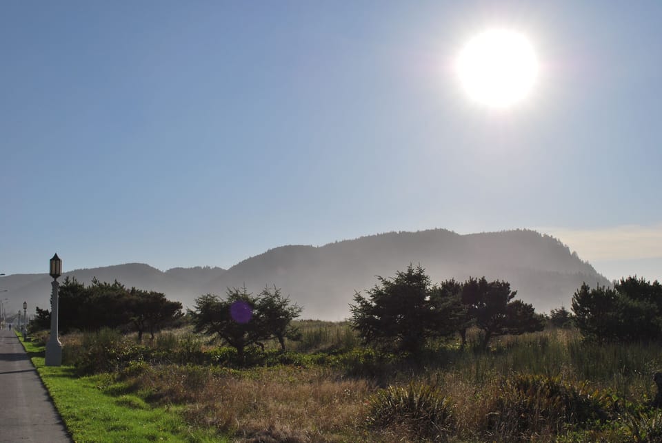 View from property