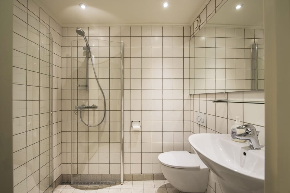 Shower, free toiletries, hair dryer, towels
