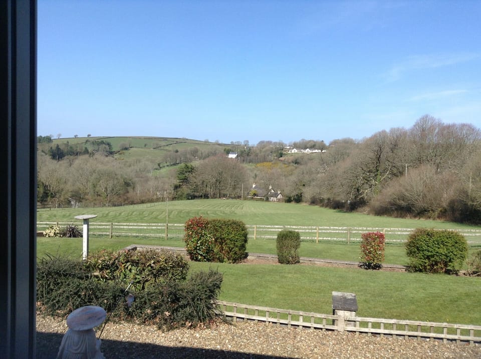 House | Property grounds