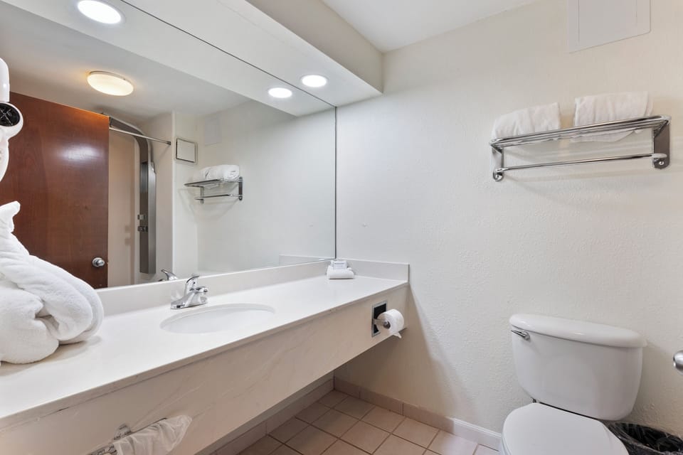 Combined shower/tub, free toiletries, hair dryer, towels