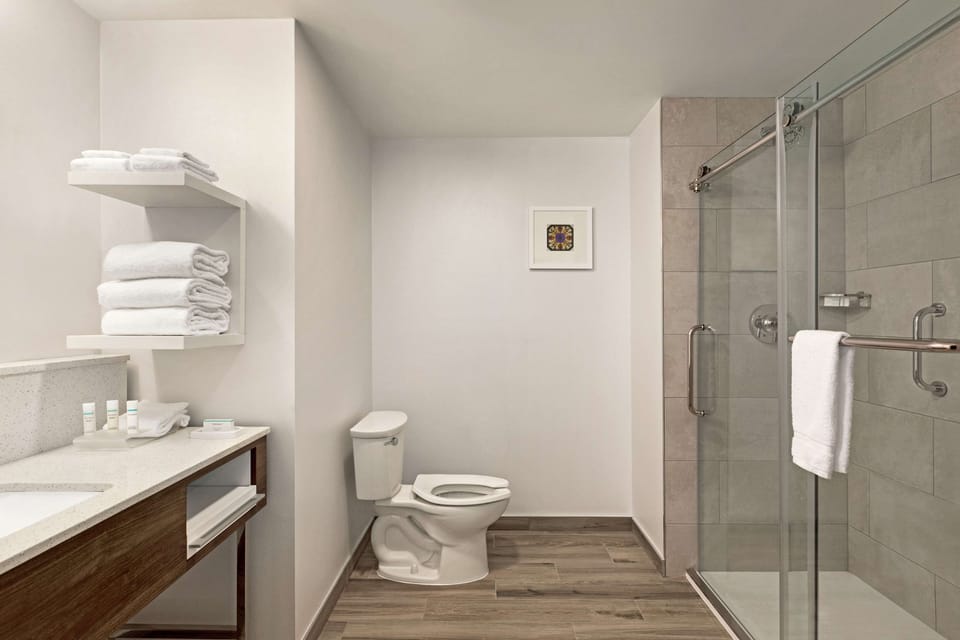 Room, 1 King Bed, Accessible, Bathtub (Mobility & Hearing) | Bathroom shower