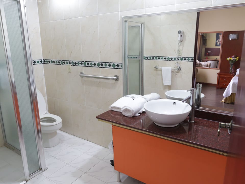 Shower, hair dryer, towels