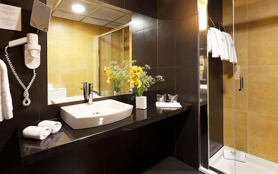 Eco-friendly toiletries, hair dryer, bidet, towels