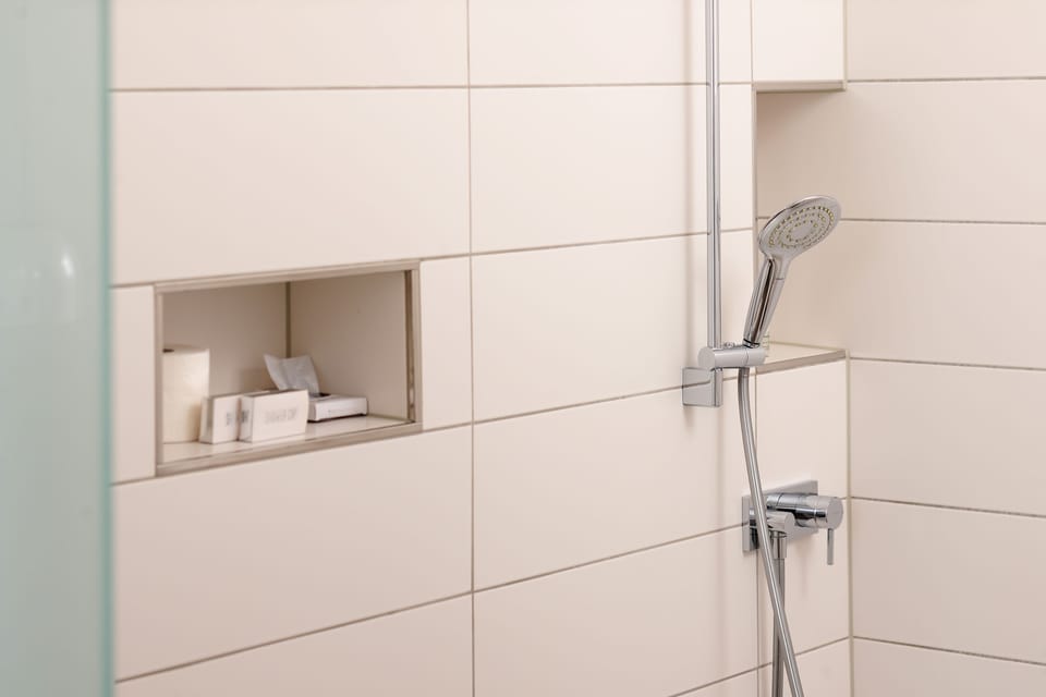 Shower, hair dryer, towels