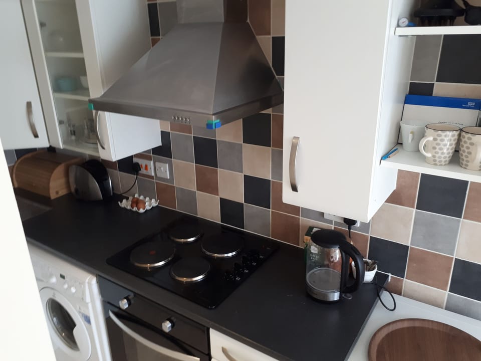 Apartment | Private kitchen | Fridge, microwave, oven, stovetop