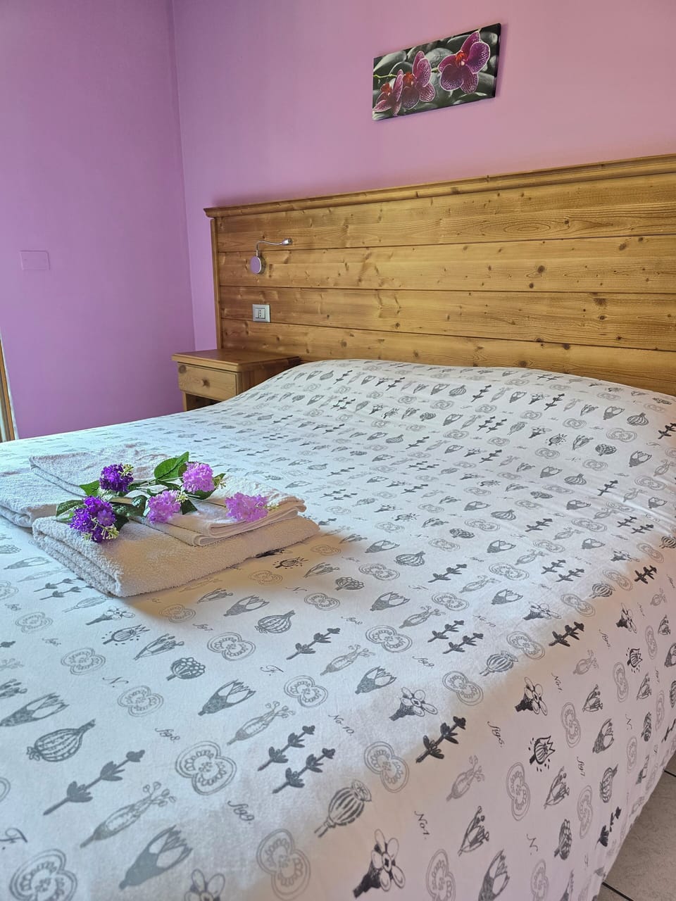 Premium bedding, down comforters, memory foam beds, desk