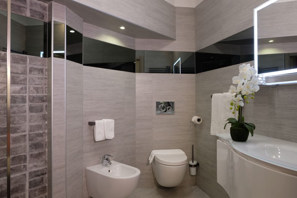 Shower, free toiletries, hair dryer, bidet