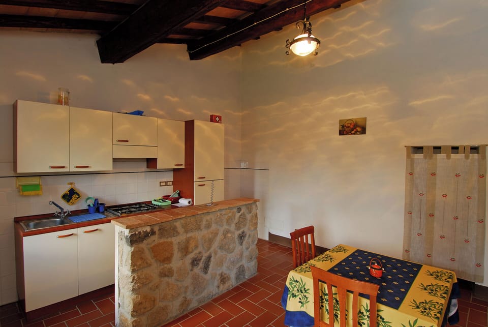 Apartment, 1 Bedroom, Smoking, Fireplace | Dining room