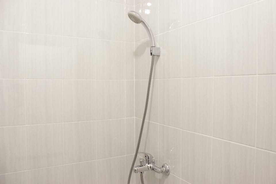 Room | Bathroom | Shower, free toiletries, towels