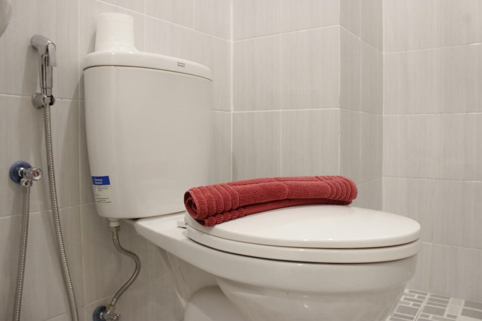 Room | Bathroom | Shower, free toiletries, towels