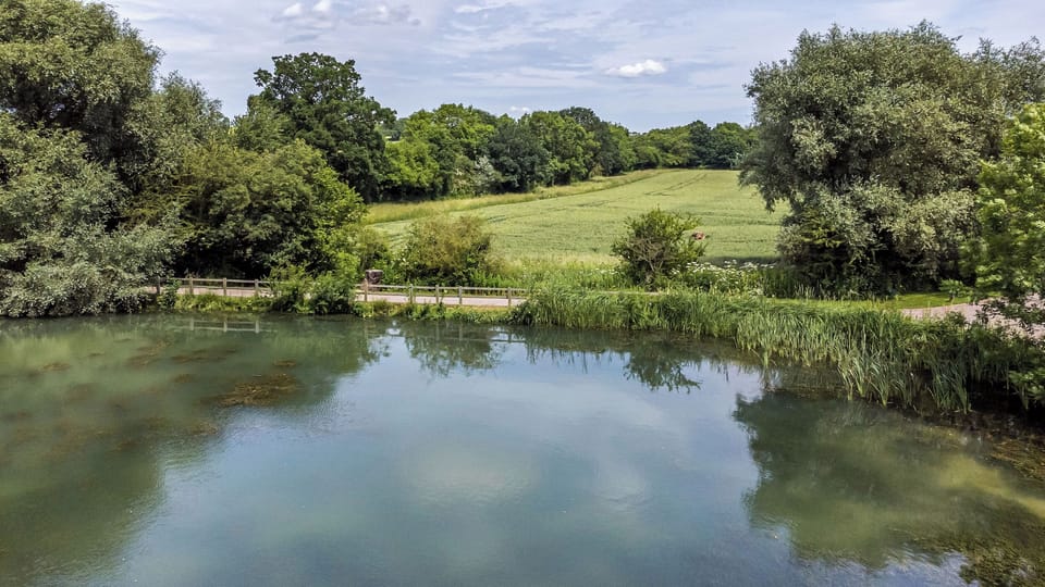 Cottage | Property grounds