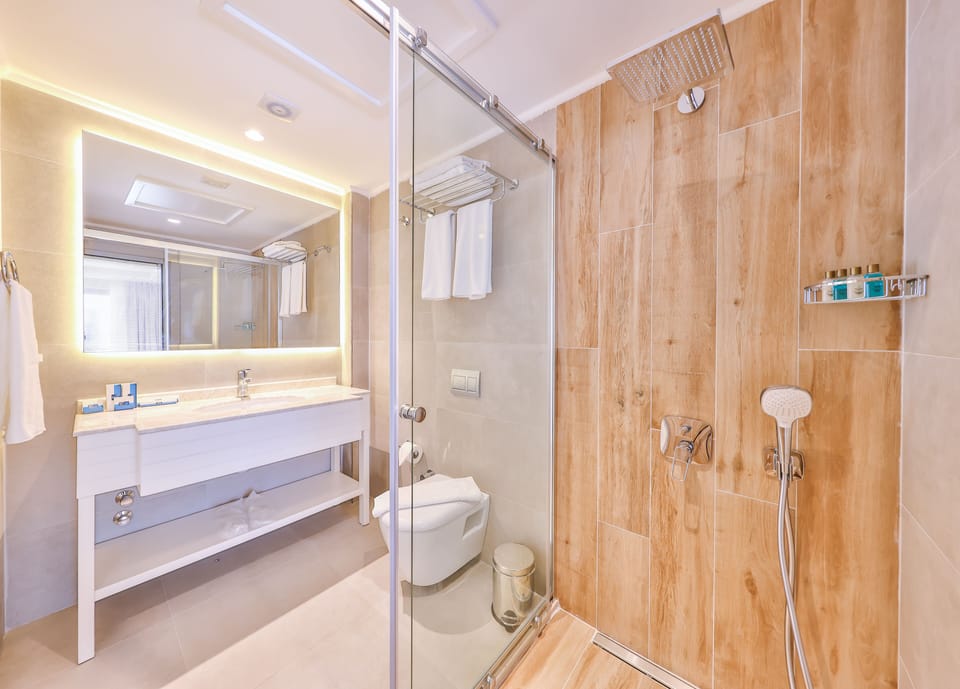 Deluxe Room | Bathroom | Shower, rainfall showerhead, free toiletries, hair dryer