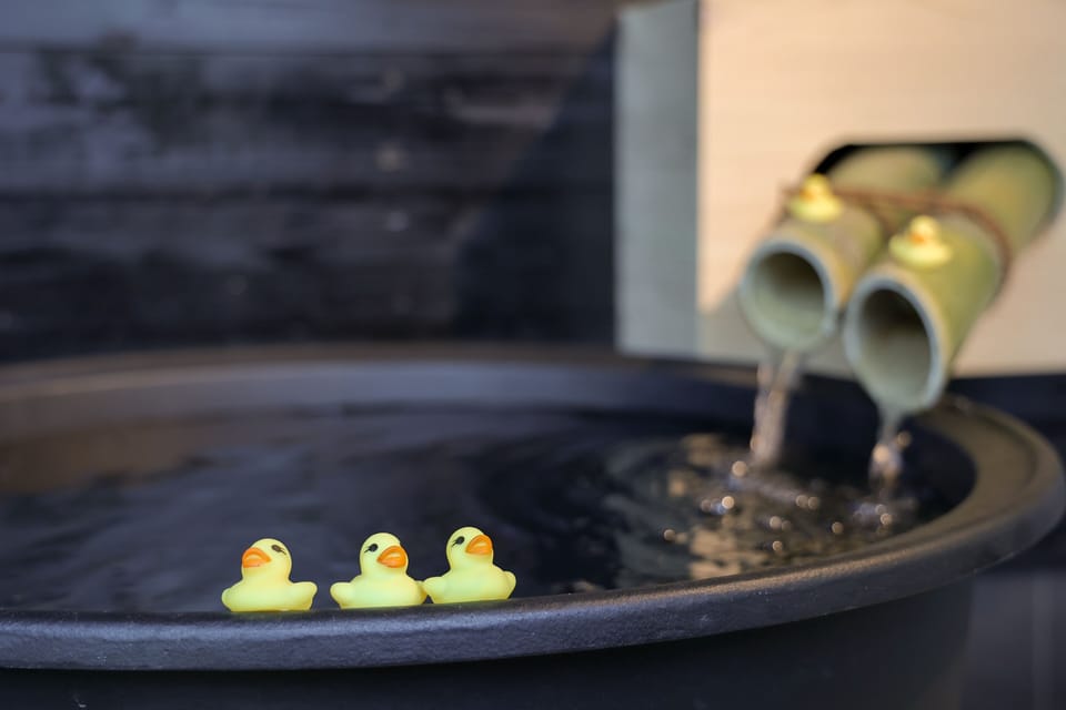 Public bath