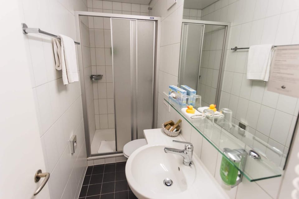 Shower, free toiletries, hair dryer, towels