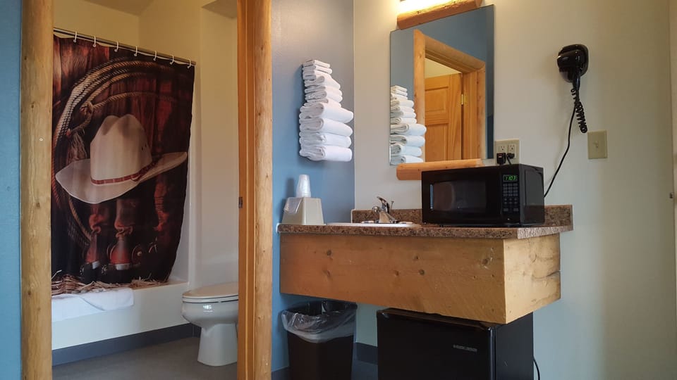 Combined shower/tub, free toiletries, hair dryer, towels