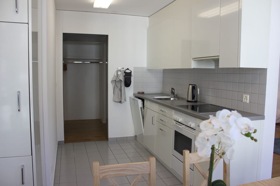Apartment, 2 Bedrooms | Private kitchen | Full-size fridge, dishwasher, espresso maker, electric kettle