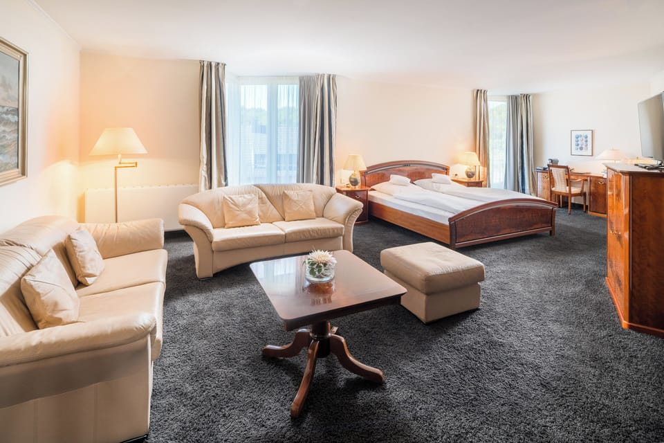 Suite (with private sauna) | Hypo-allergenic bedding, minibar, in-room safe, desk