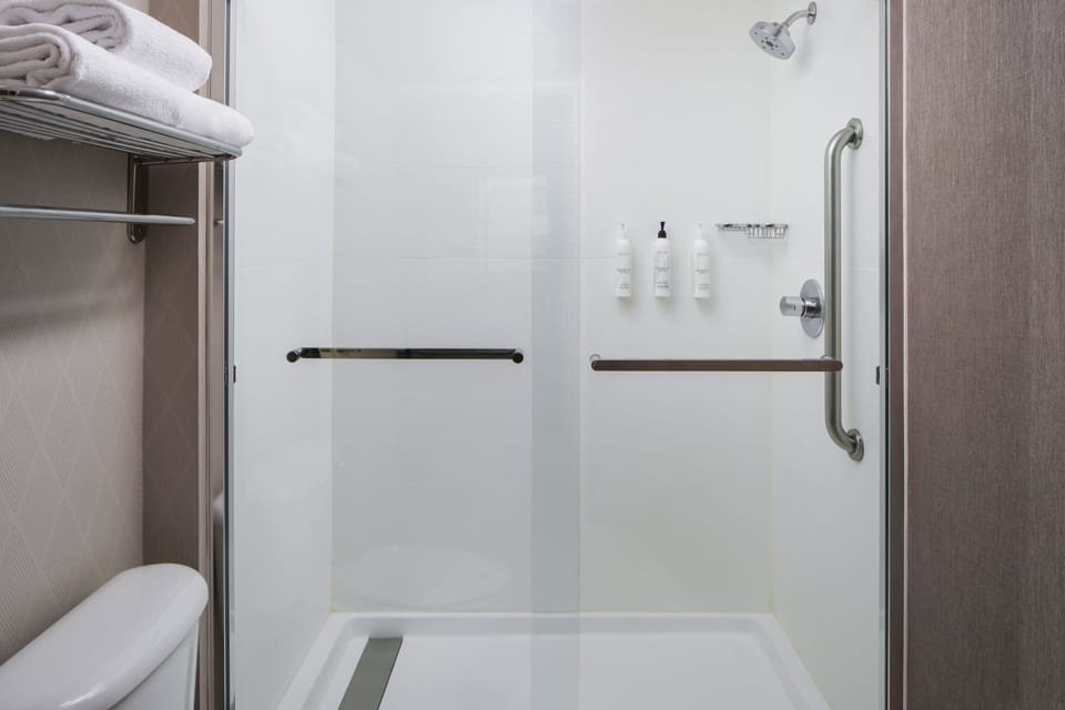 Combined shower/tub, free toiletries, hair dryer, towels