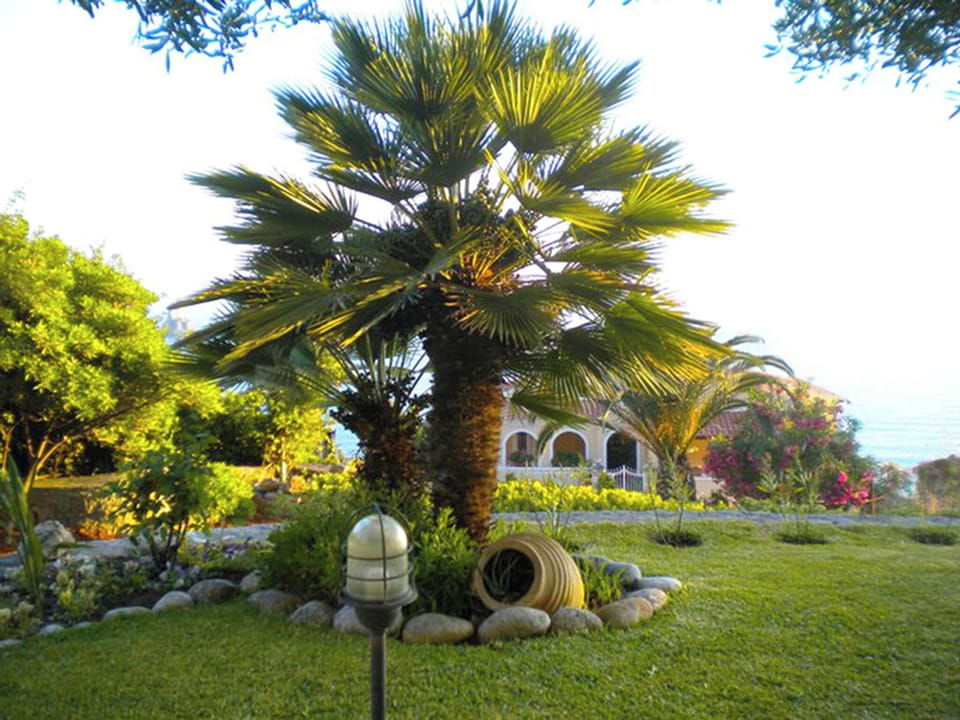 Apartment, 1 Bedroom, Smoking, Balcony | BBQ/picnic area
