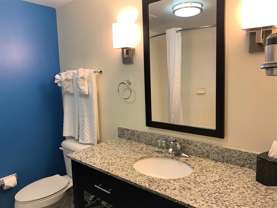 Combined shower/tub, free toiletries, hair dryer, towels