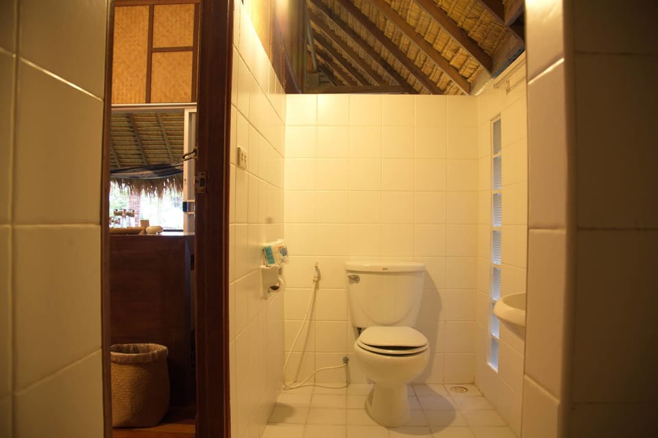 Shower, free toiletries, towels
