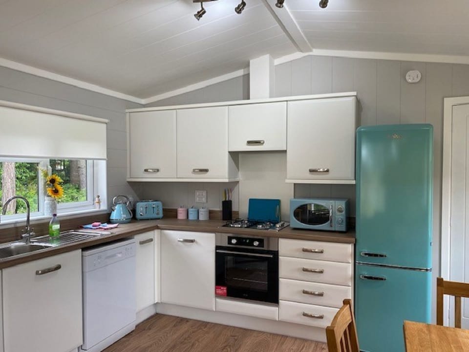 Standard Apartment, Private Bathroom | Private kitchen