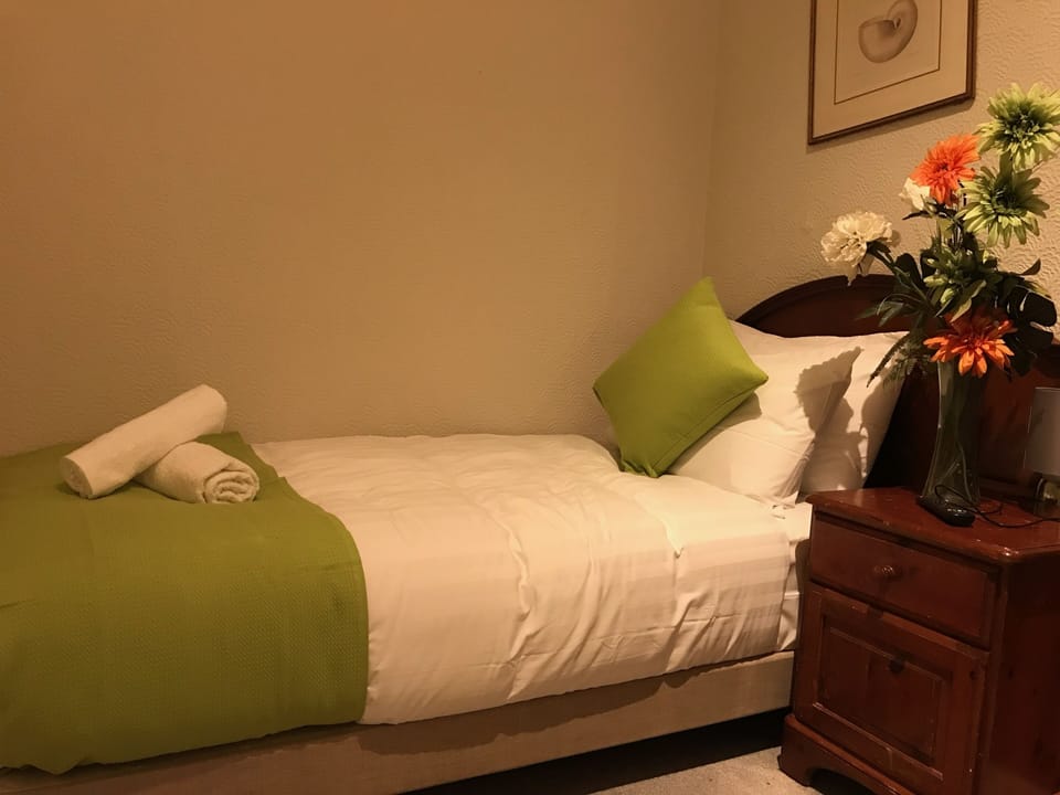 Standard Single Room | Iron/ironing board, free WiFi, bed sheets