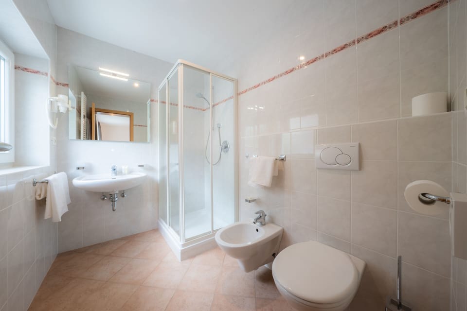 Shower, hair dryer, bathrobes, bidet