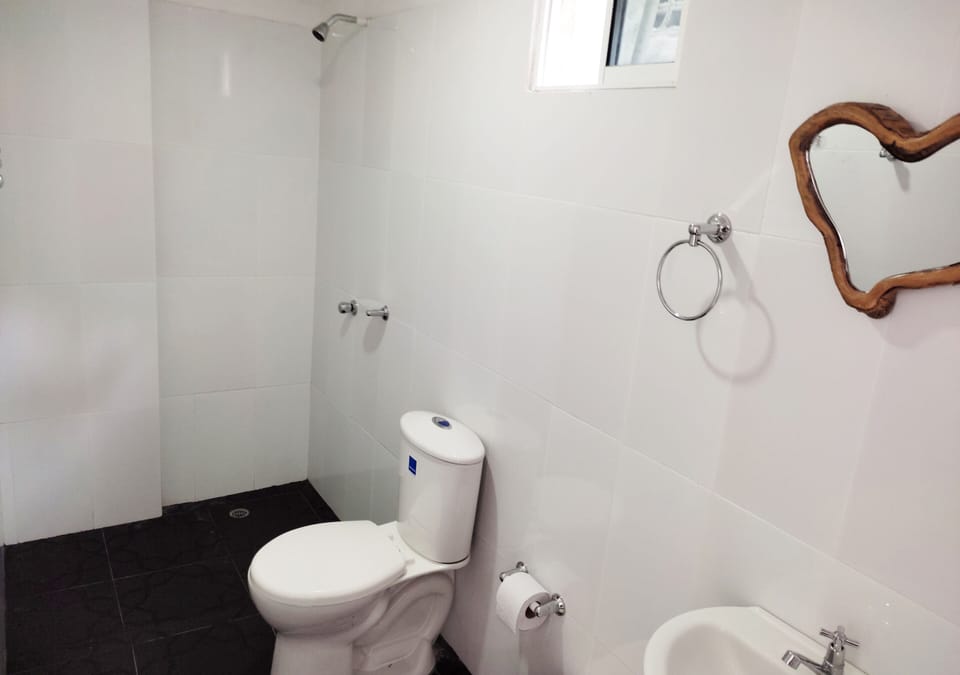 Standard Double Room | Bathroom | Shower, rainfall showerhead, free toiletries, towels