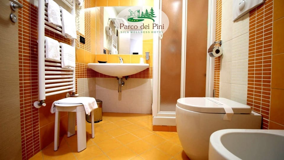 Standard Double or Twin Room | Bathroom | Hair dryer, bidet, towels