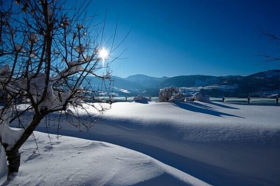 Gasthof zum Hirsch Bed and Breakfast in Bavaria