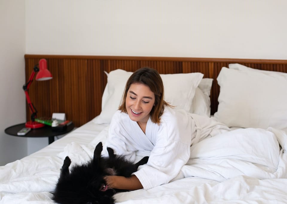 Pet-friendly amenities