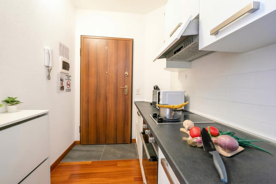 Standard Studio (Moonlight - 150m from the lake) | Private kitchen | Fridge, oven, stovetop, dishwasher