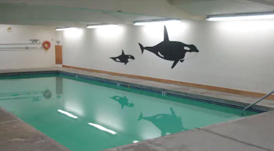 Indoor pool, sun loungers