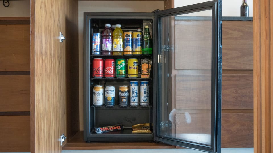 Mini-refrigerator