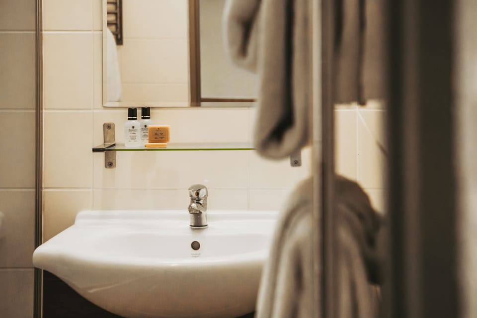 Combined shower/tub, free toiletries, hair dryer, towels