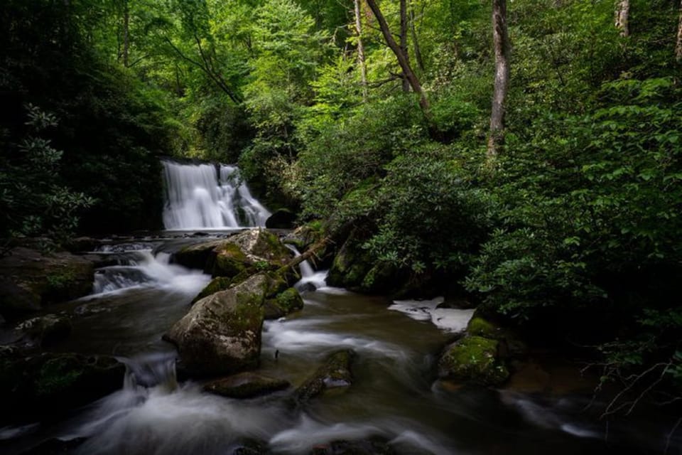 Signature Cabin, Mountain View | Water view