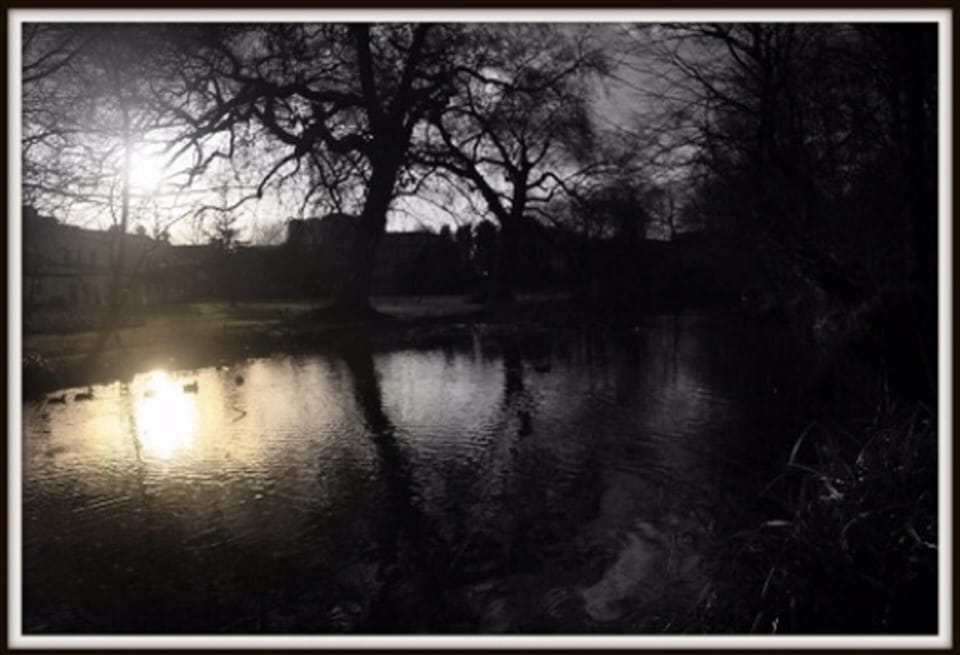 Villa | Property grounds