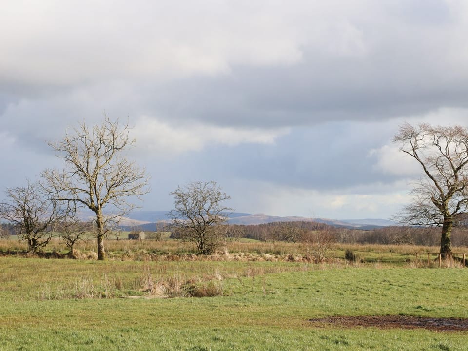 Cottage | Miscellaneous