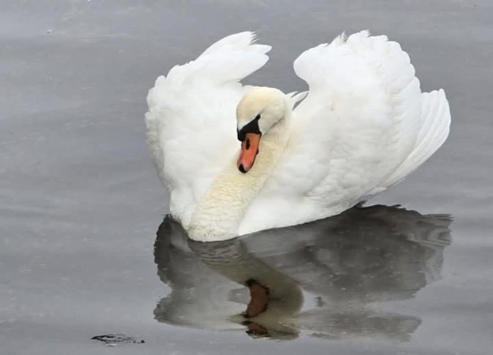 Apartment | View from property