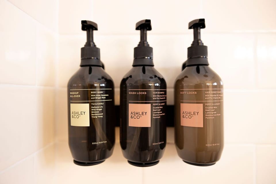 Hair dryer, towels, soap, shampoo